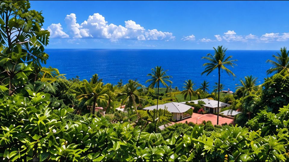 View from the HINA Operations Center in Honokaʻa over palms and rooftops to the Pacific Ocean
