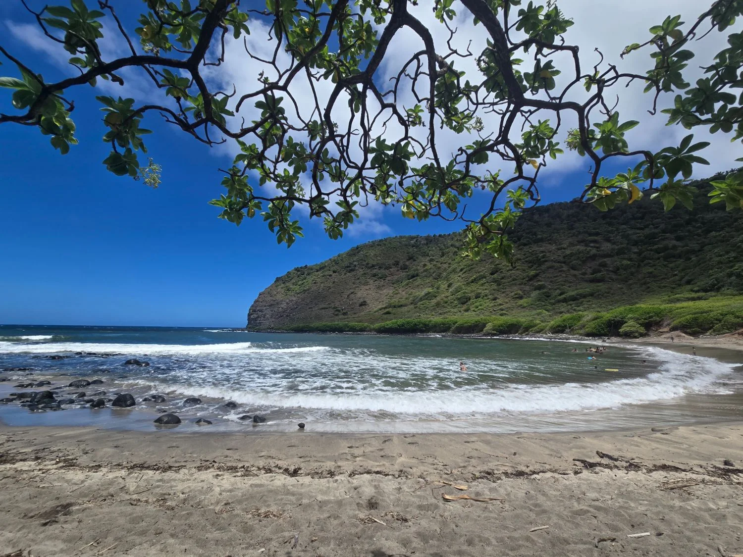 A small curved bay with a breaking wave, dark lava rocks on the sand and a green headland, seen from under the branches of a tree.