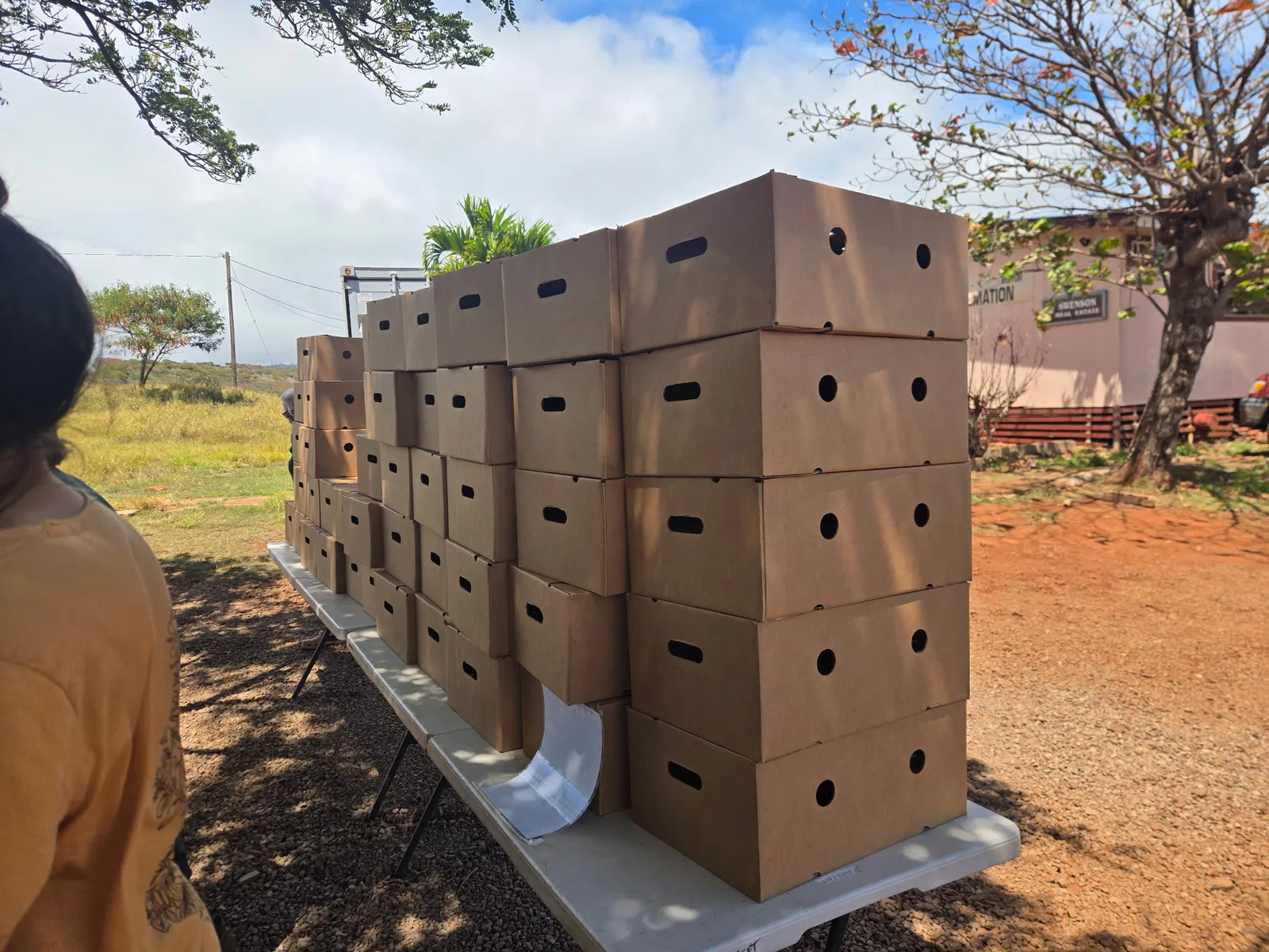 Food boxes stacked and ready before families arrive.
