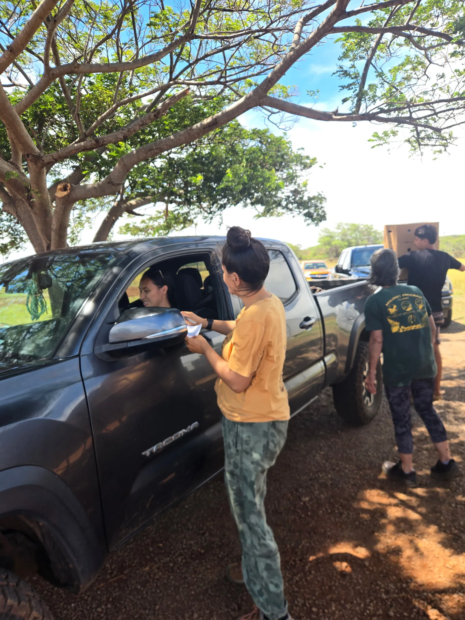 Families stay in their trucks while volunteers check names at the window.